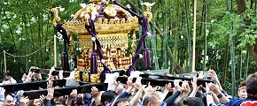 差し切り前進も見事に決める。'12.11.03.