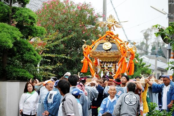 真夏の夾竹桃が咲く脇を渡御する宮神輿。'12.07.22.