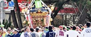 東海道松並木を後に鳥井戸橋へ渡御。'13.02.03.