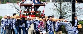 強風に煽られながらの渡御。'13.04.07.