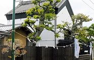 新選組流山陣屋跡。'13.07.07.