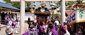 下げての鳥居潜り。'14.04.27.