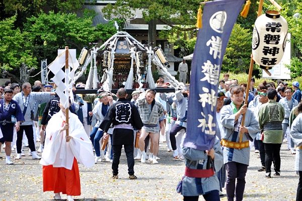 常磐神社玉砂利参道から東門までの宮出し。'13.05.12.