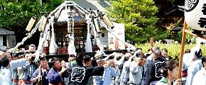 境内から東門までの宮出し。'13.05.12.