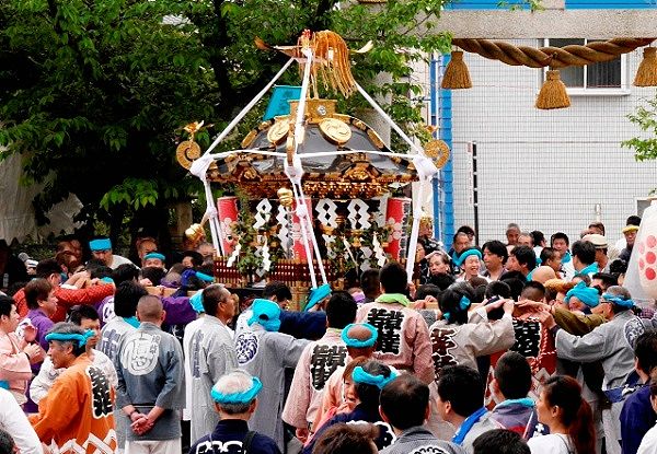 境内での威勢良い神輿揉み。'14.04.29.
