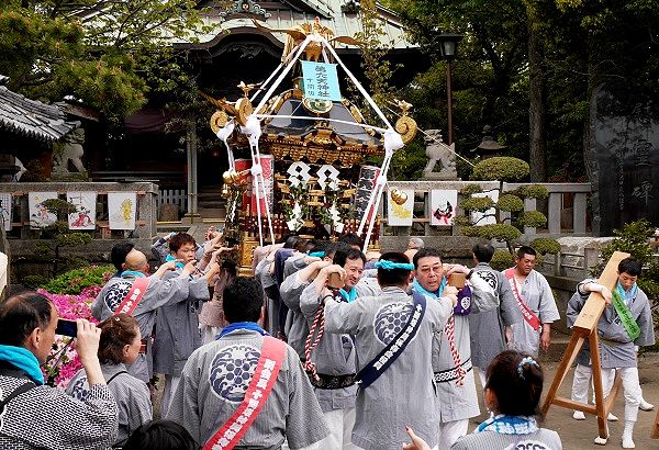 世話人だけでドッコイの神輿揉み。'14.04.29.