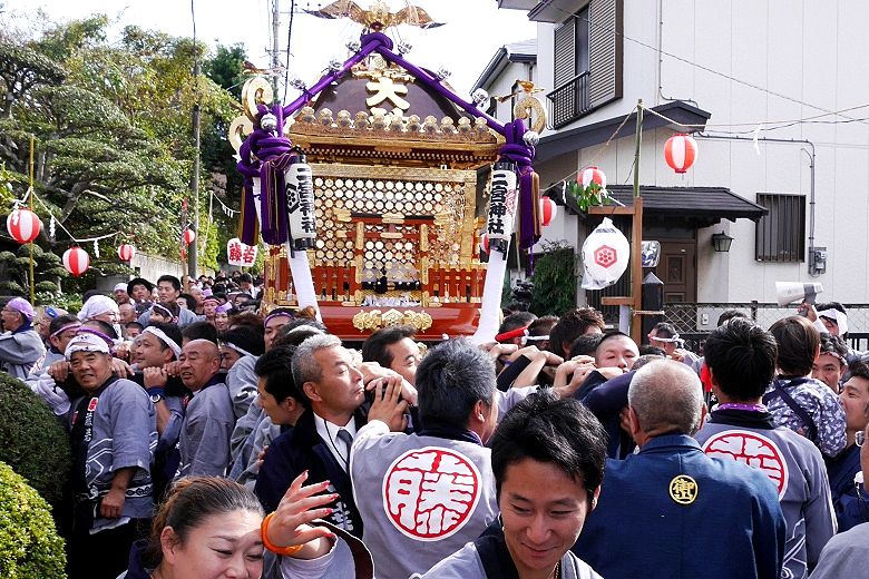 二宮神社専用の渡御路。'15.11.01.
