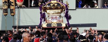 放り上げ。'15.11.01.
