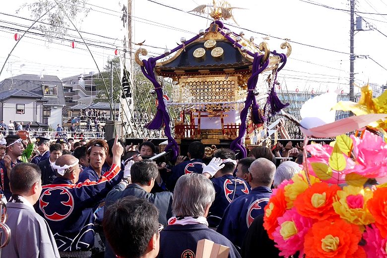 花傘も艶やかな時平神社。'15.11.01.