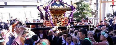 境内で神輿揉み。'15.11.03.