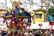 黒大屋根が特徴の大神輿。08.03.09.