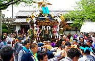 境内でいきなり激しい神輿揉み。'10.04.29.