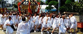 神社下で渡御の御挨拶の神輿揉み。'10.07.22.