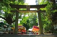 樹齢700有余年の大銀杏。'10.07.22.