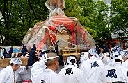 残念艶やかさは合羽の内側。'11.04.24.