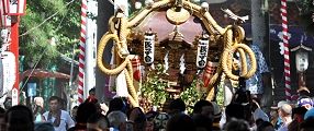 ニの鳥居から一の鳥居目指す特大神輿。'11.07.17.