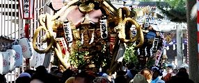 木漏れ日の参道を連なって一の鳥居目指す。'11.07.17.
