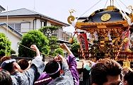 yasaka-katugi.jpg(11621 byte)