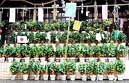 検見川境内の鬼灯市。'11.08.03.