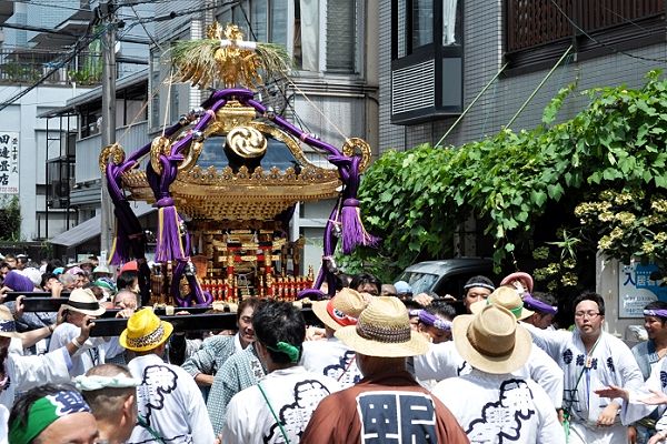 氏子町会を隈なく渡御する宮神輿。'11.08.15.