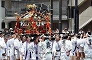 悠然と担がれる宮神輿。'11.07.24.