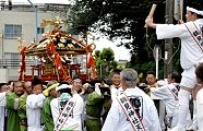 お神酒所前で木が入る。11.07.24.