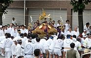 指揮者の合図で下げの神輿揉み。'11.08.20.
