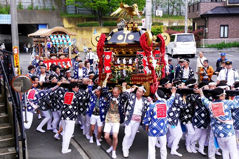 暴れ神輿の本領発揮'16.04.22.