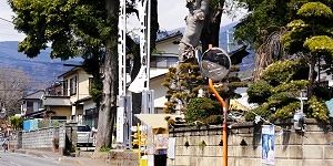 新調された大幟がはためく.'16.03.27.