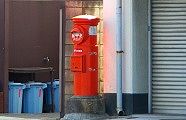 逆光で周囲を朱色に染める。09.04.03.