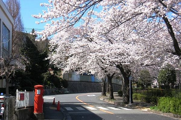 町田市野津田並木。06.04.03.