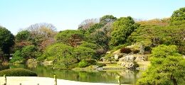 和歌の庭は回遊式築山泉水の江戸の名園。08.03.27.