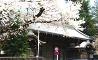 静寂の中の池田屋敷表門。08.03.27.