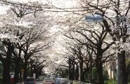 ʂ̎؁B08.04.01.
