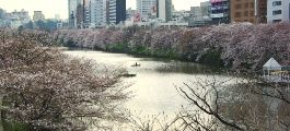夕刻なのにオープンカフェには女性陣の長い行列です。08.03.27.