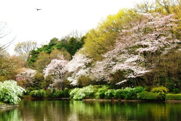 静けき新緑の園内。09.04.05.