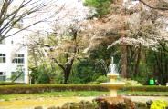 正門、辺仁橋渡り小平記念館前へ。09.04.05.