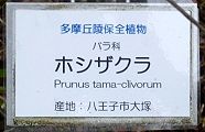 u˕ۑSADB'10.03.26.