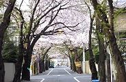 上北沢駅方面。'10.04.09.
