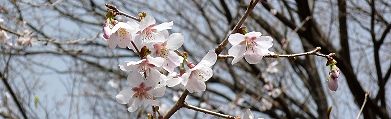 ^Ŏ郄uB'10.03.21.