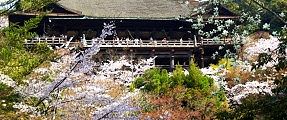 錦雲渓から。'11.04.10.