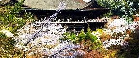 錦雲渓から。'11.04.10.