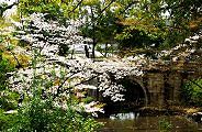 kiyomizu-gojyou.jpg(12656 byte)