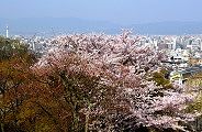 清水寺境内からの景観。'11.04.10.