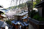 maruyama-nene2.jpg(9953 byte)