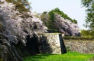 東門の空堀。'11.04.10.