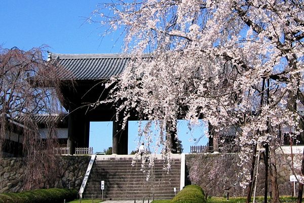府中東郷寺山門。'07.03.23.