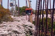 途切れずにゴンドラが行き来する。'11.04.13.