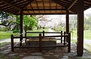 養生所の古井戸。'10.04.09.