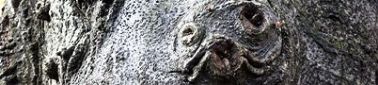 120120-ottsei2-2.jpg(14634 byte)